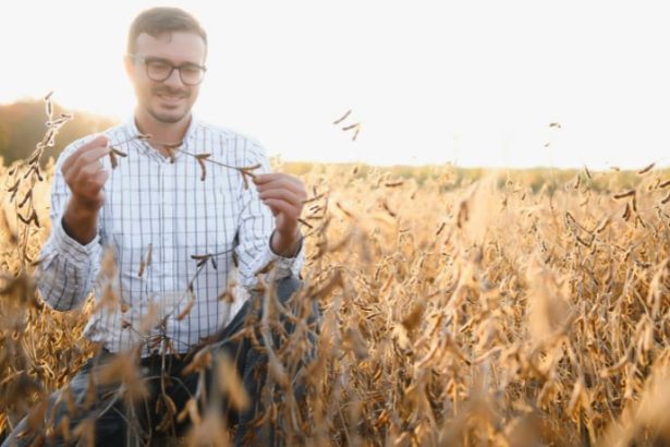 Agenor Vicente Pelissa