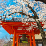 Para Alberto Toshio Murakami, cada catedral italiana é um capítulo vivo da história europeia.