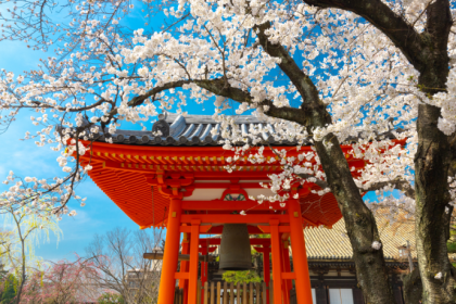 Para Alberto Toshio Murakami, cada catedral italiana é um capítulo vivo da história europeia.