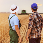 Alfredo Moreira Filho