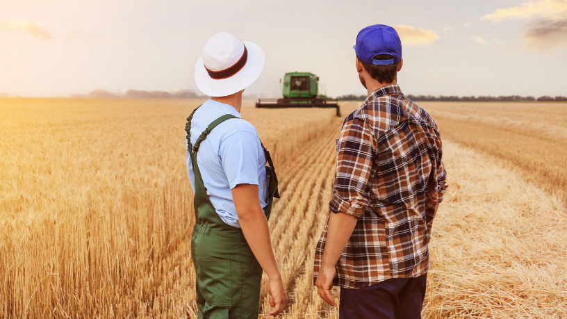 Alfredo Moreira Filho