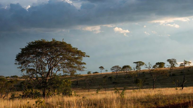 Guilherme Silva Ribeiro Campos