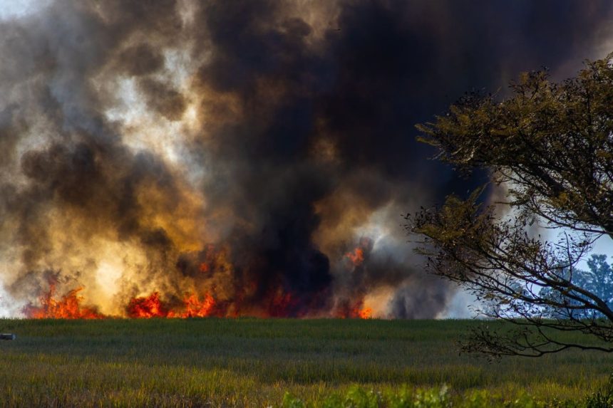 Chamas intensas e fumaça espessa avançam por uma área de vegetação seca durante um incêndio.